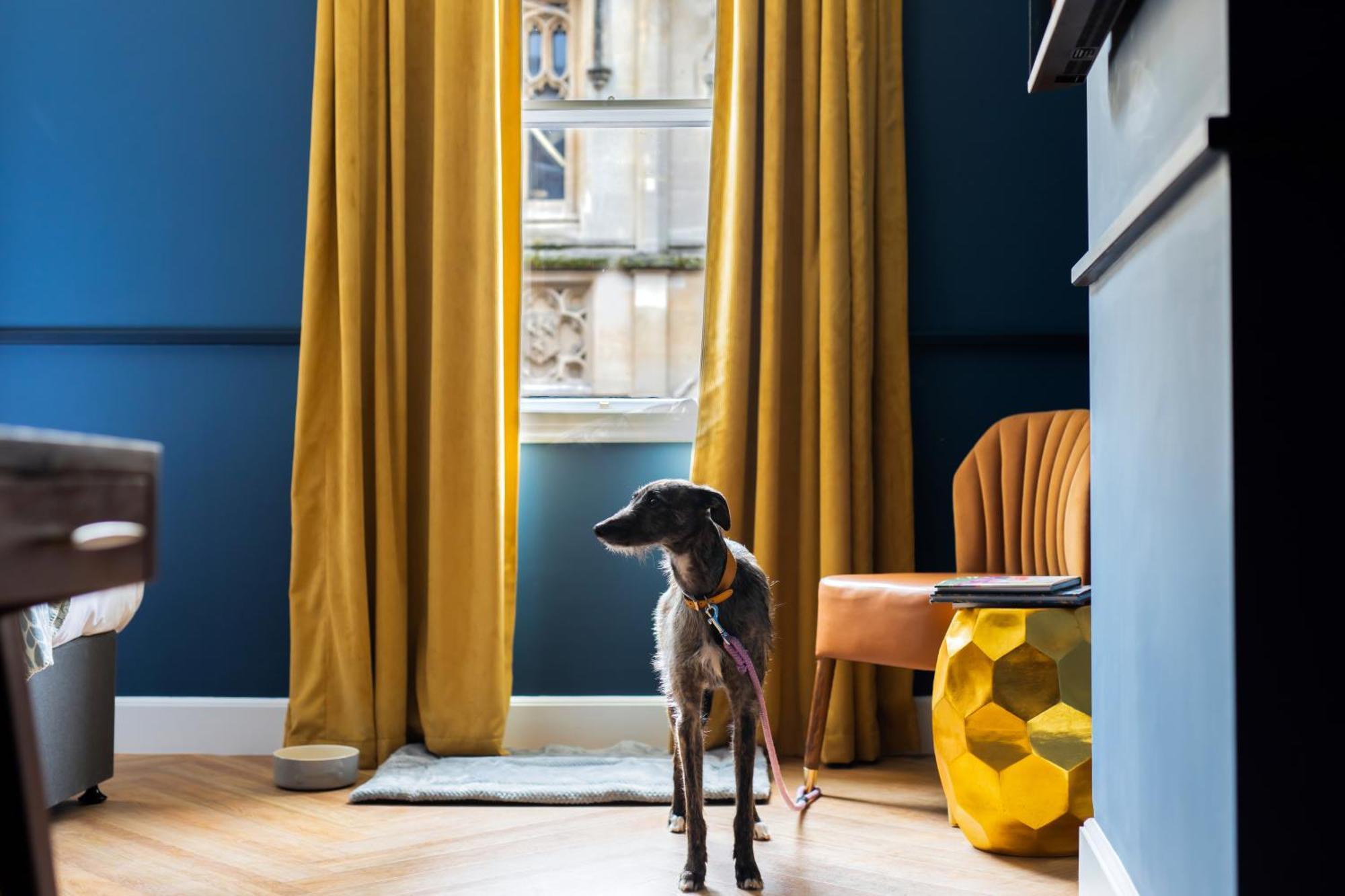 Hort'S Townhouse Hotell Bristol Exteriör bild